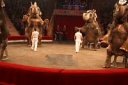 Шоу слонов Братьев Гертнер