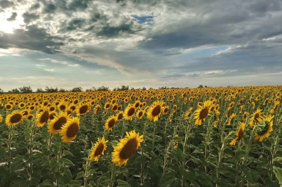 Фотовыставка «Родные просторы»