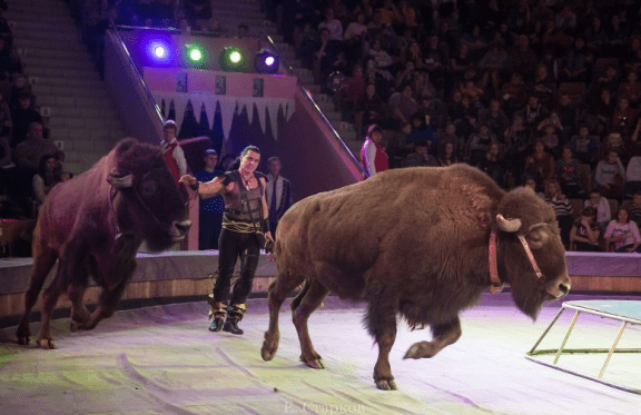 &Tcy;&Ocy;&Tcy;&IEcy;&Mcy;