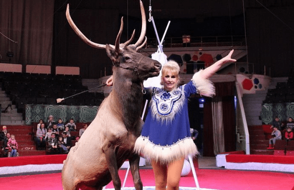 &Tcy;&Ocy;&Tcy;&IEcy;&Mcy;