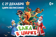 Цирк "Белиссимо" г. Ростов-на-Дону