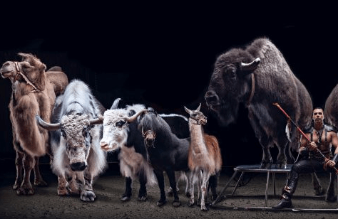 &Tcy;&Ocy;&Tcy;&IEcy;&Mcy;